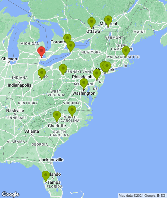 Detroit Red Wings_league.png